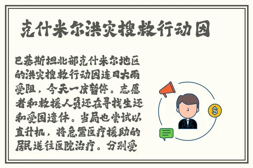 APP快喵直进网站